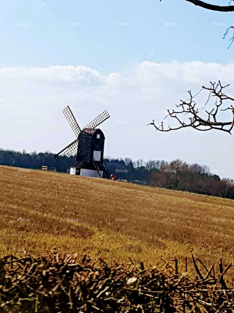 windmill