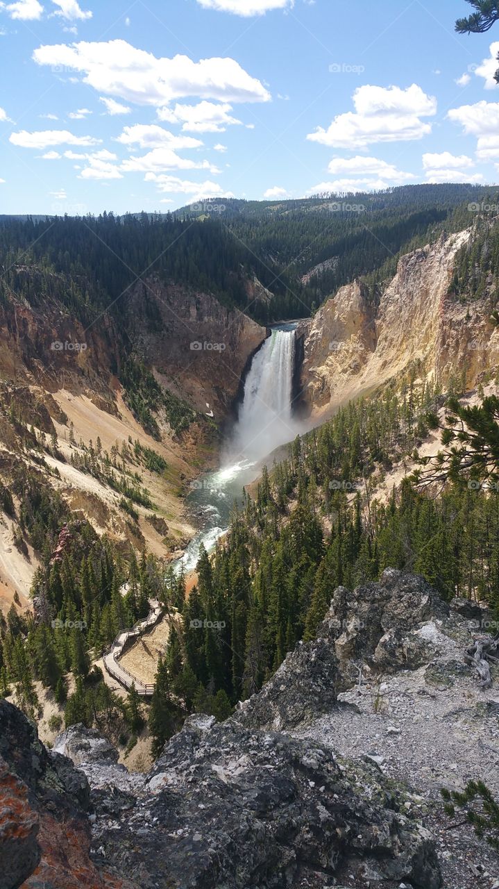 Yellowstone falls