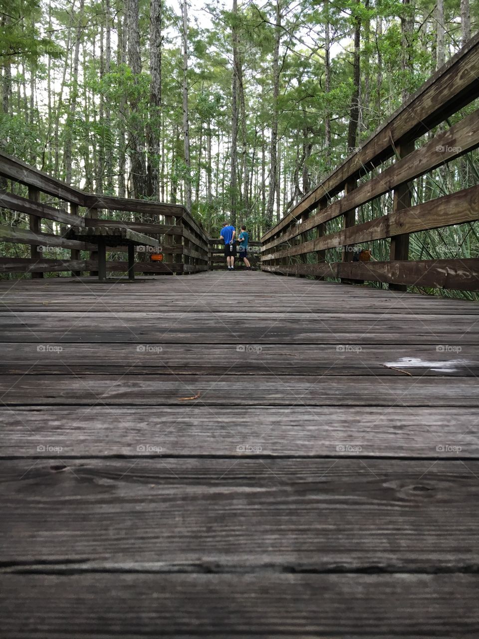 Hiking along the Grassy Waters boardwalk 