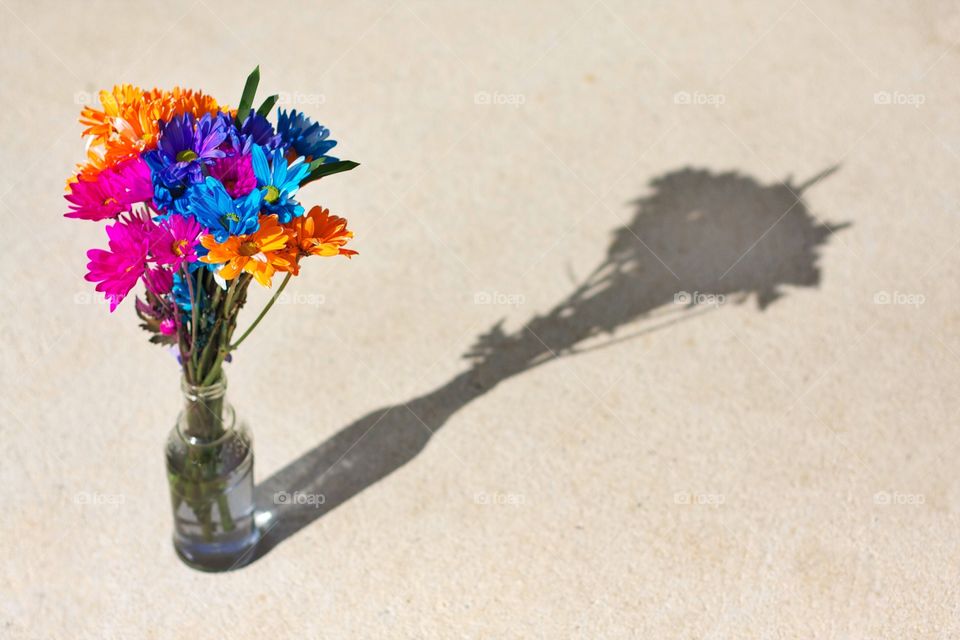 Close-up of flower vase