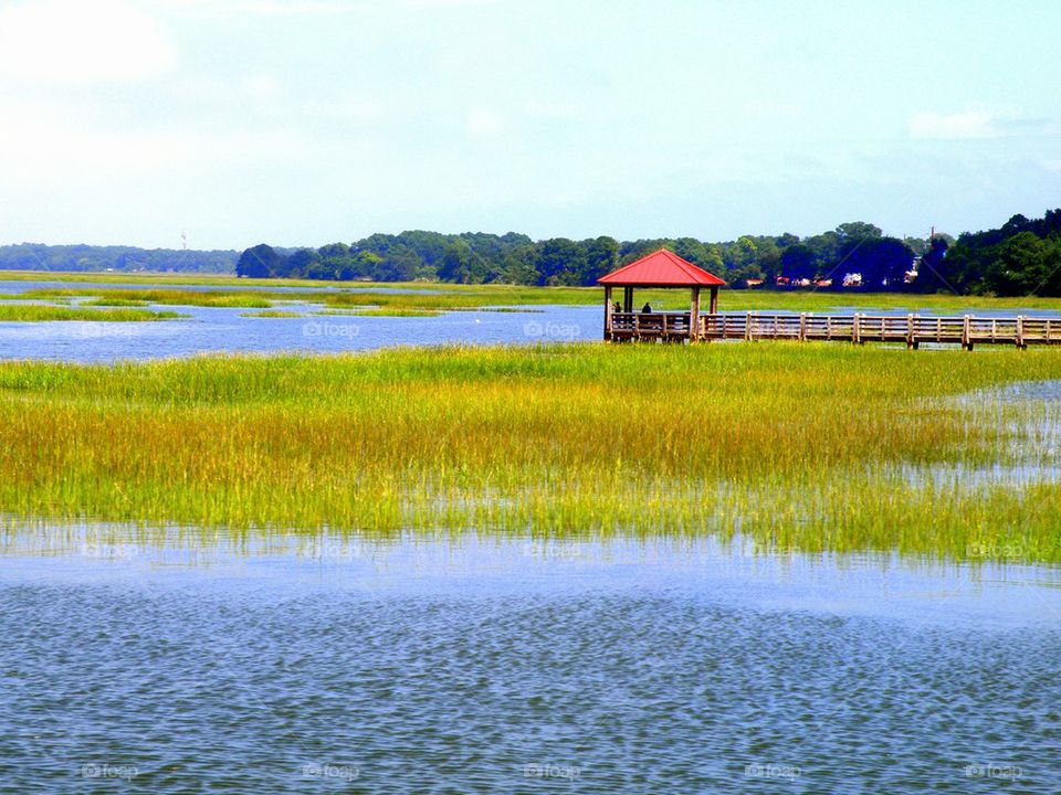 Gazebo. This was taken from a boat, leaving the channel off the island of Hilton Head, South Carolina