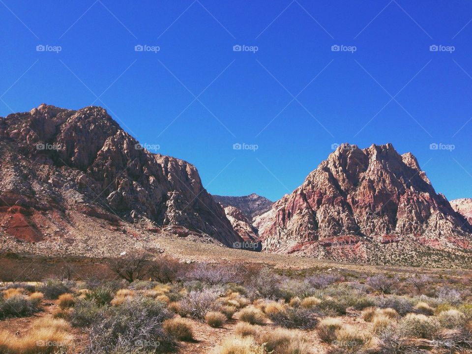 Spring Mountain Ranch State Park