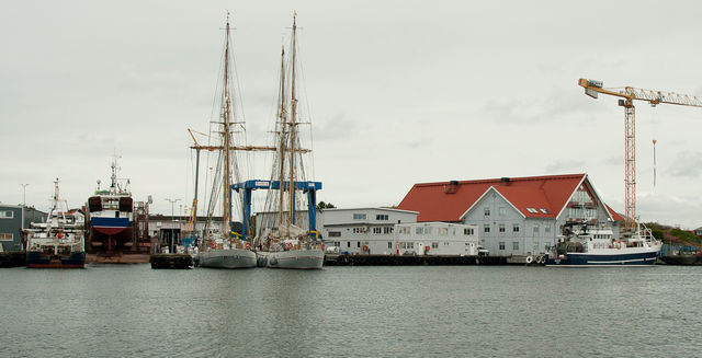 Gladan och Falken