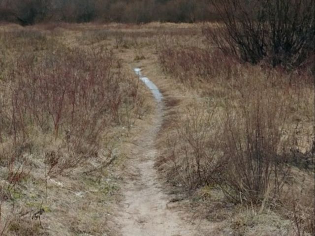 the trail