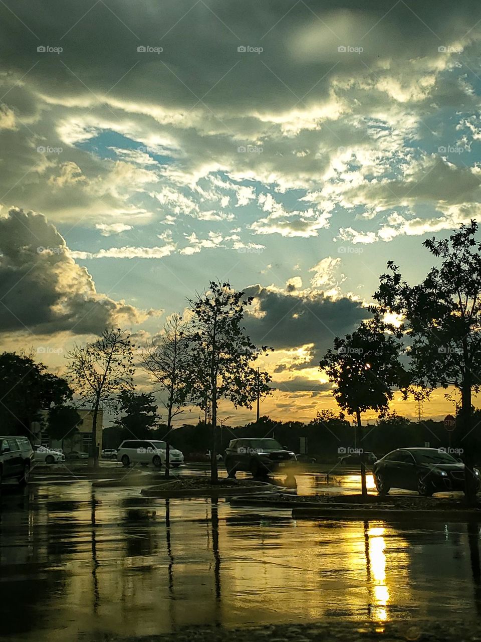 As the storm clears out a beautiful magical sunset appears from a distance with the golden hues reflecting on the rain wet surfaces everywhere.