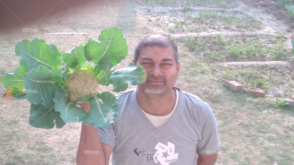 cauliflower from garden