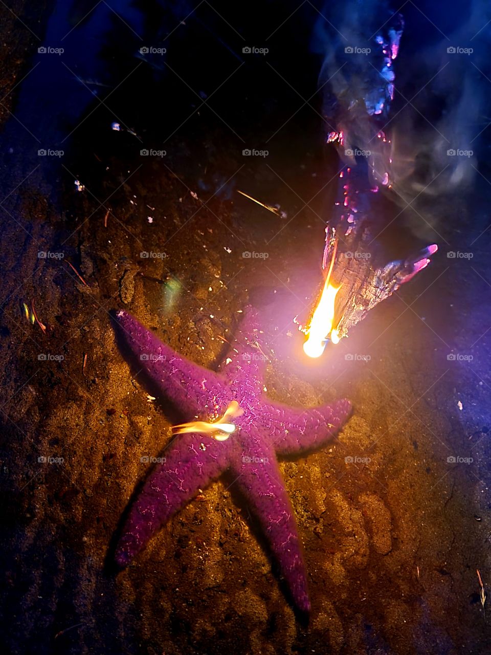 starfish & fire