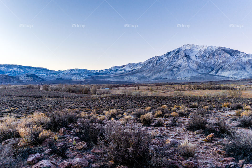 View of scenic landscape in winter