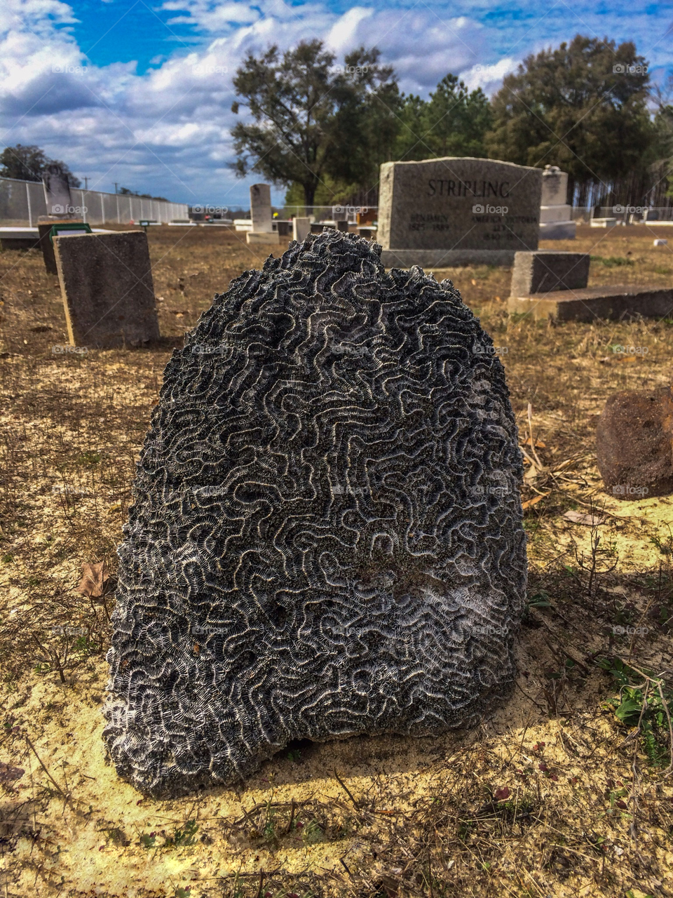 ReUpload- Tweaked- Rock In Cemetery 