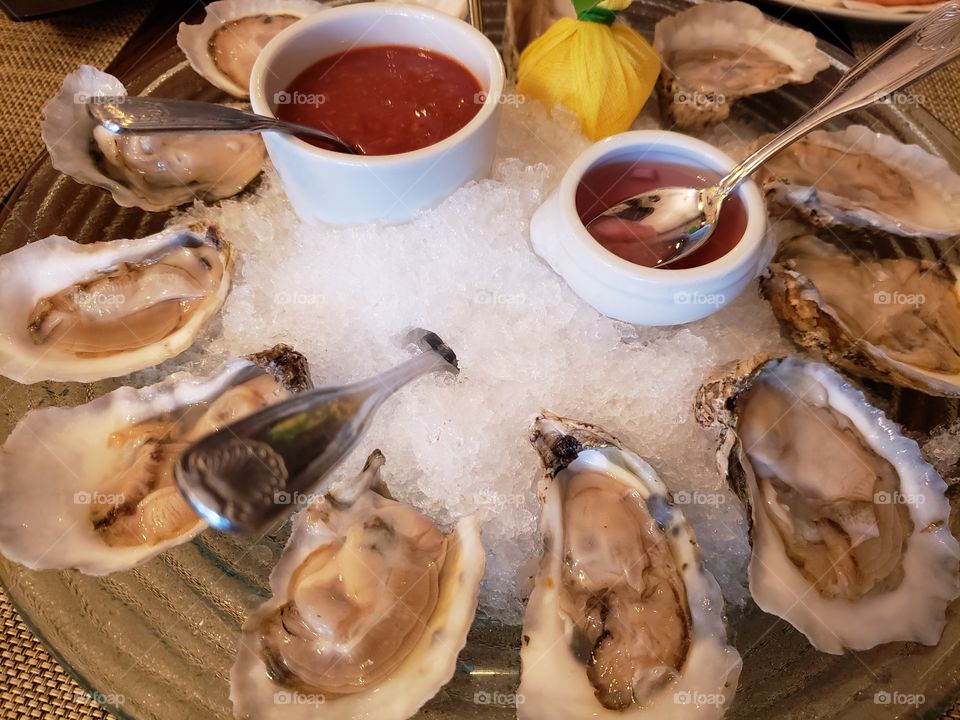 Oysters