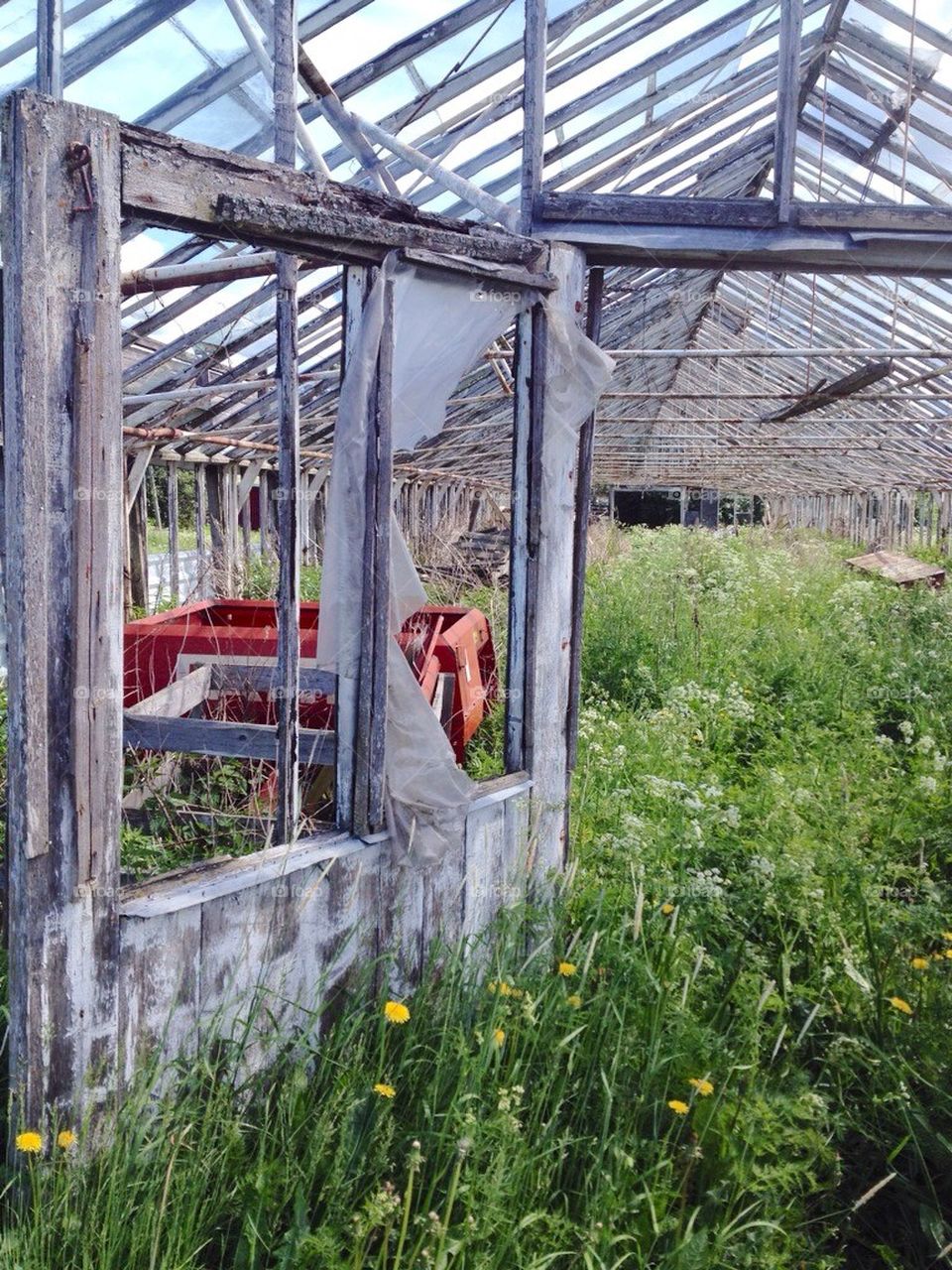 Greenhouse