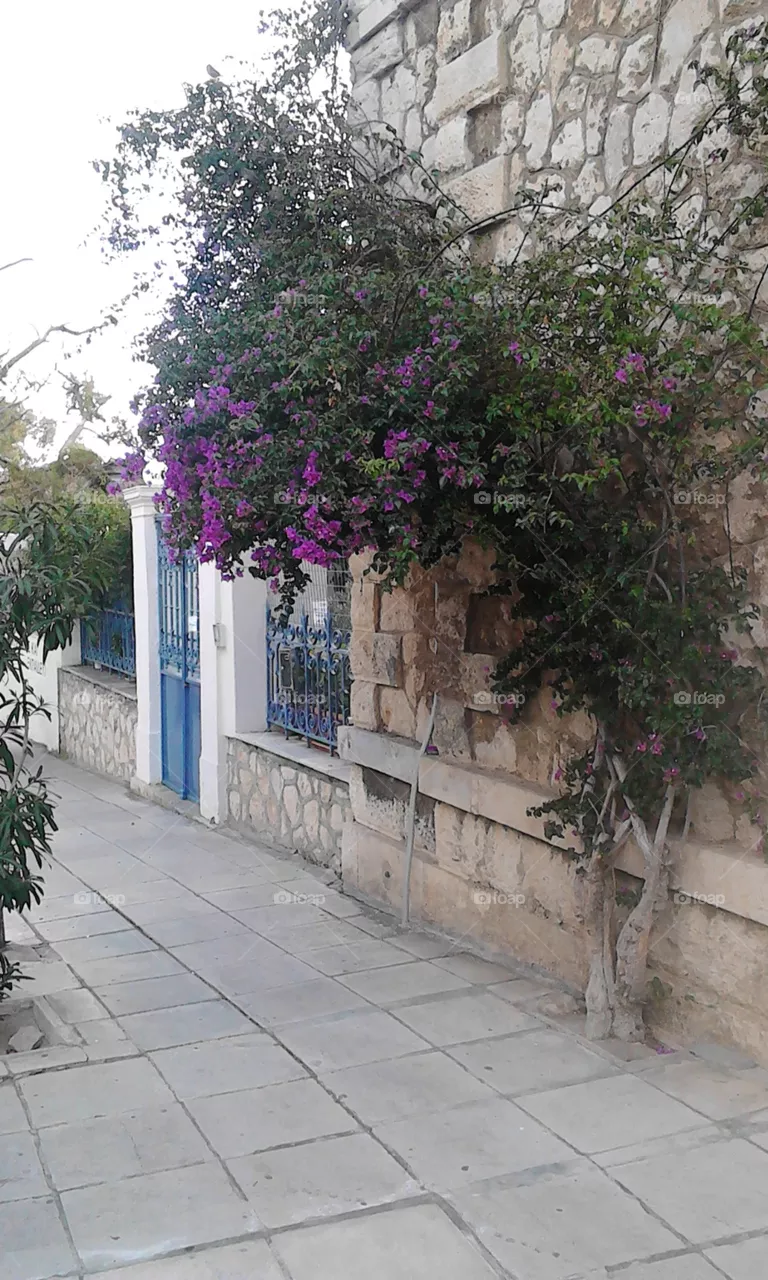street