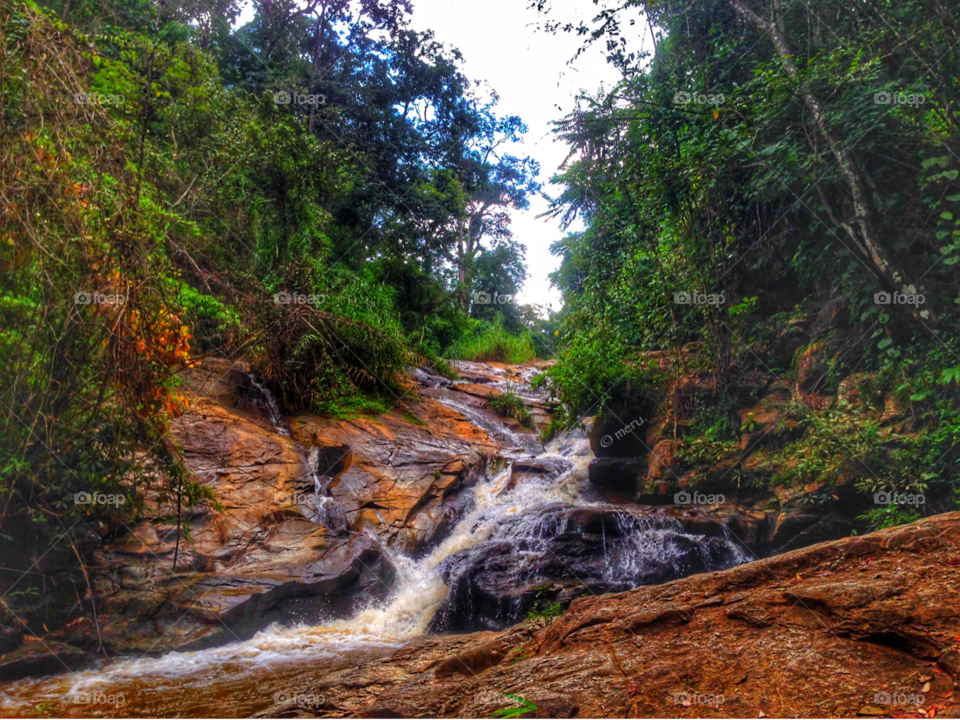 Streams & Waterfalls 