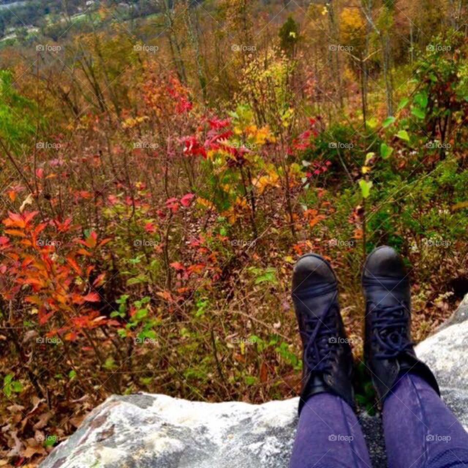 Majestic Tennessee views 