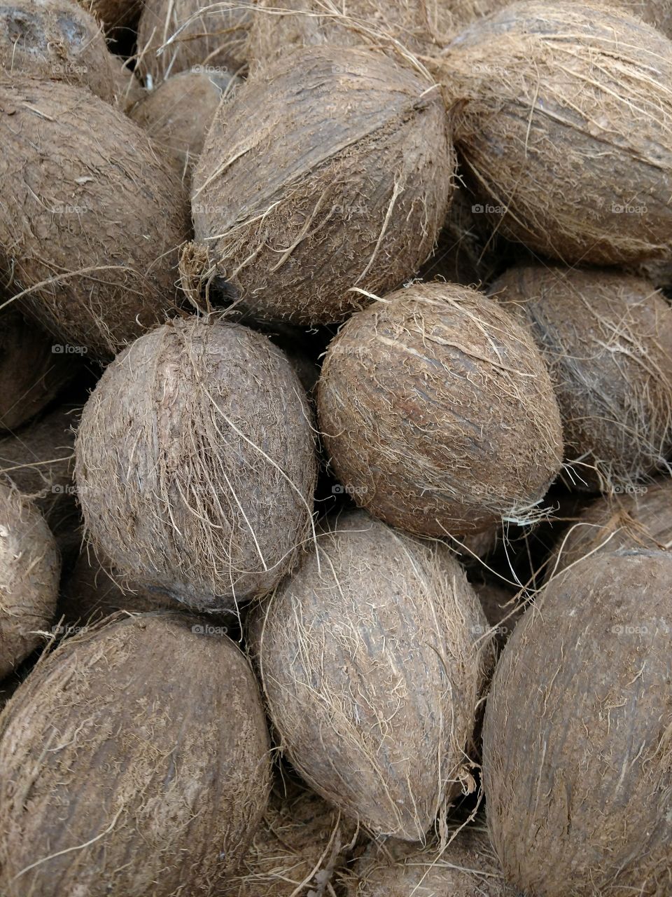 pile of coconuts