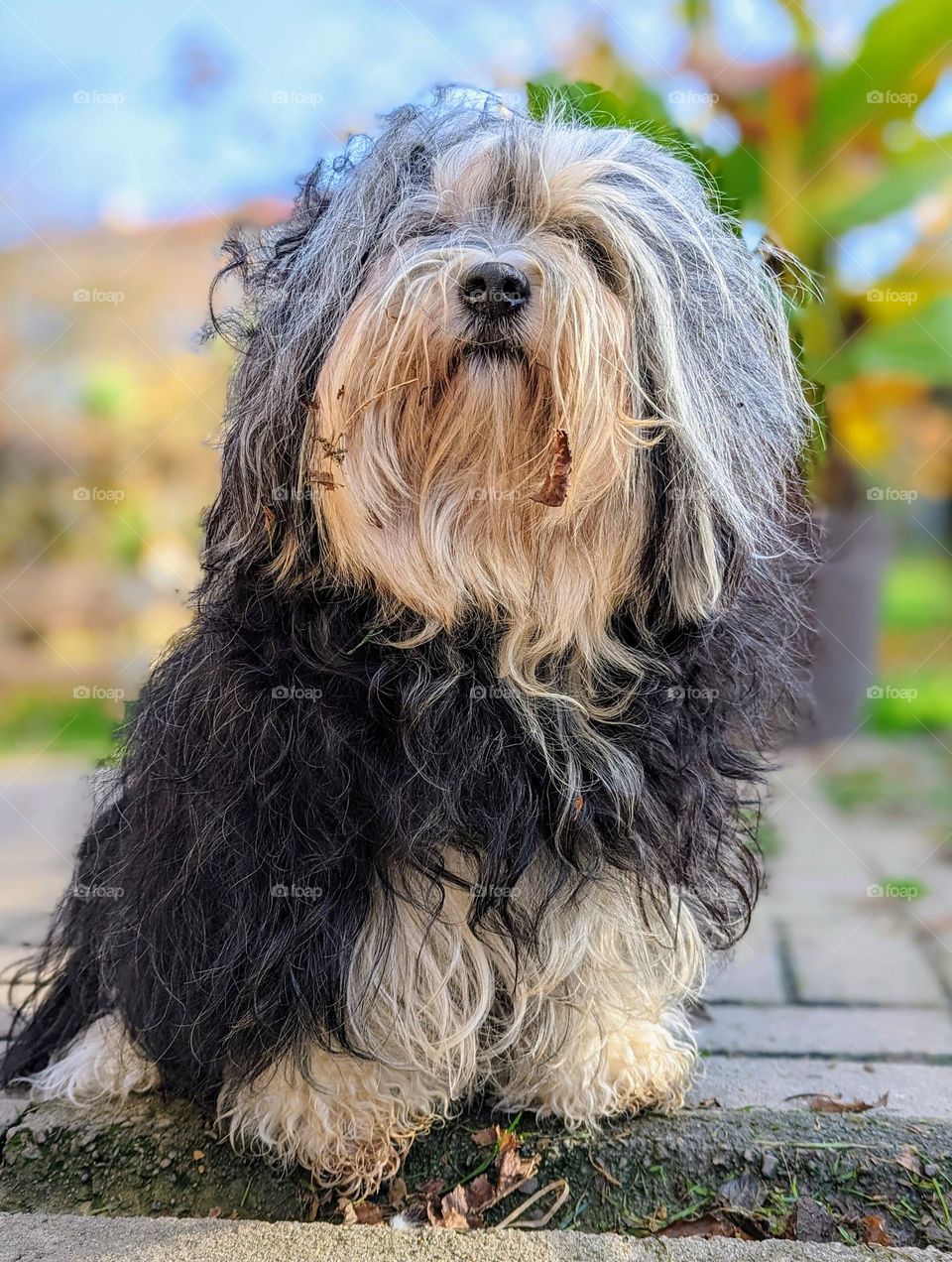 A moment of reflection.