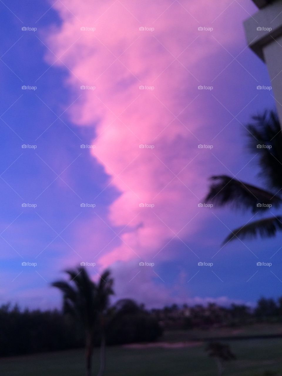 Pink clouds at sunset