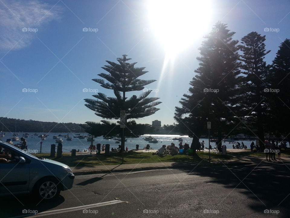 Australia day -  Manly beach