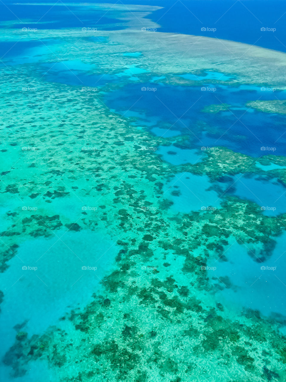 Great barrier reef