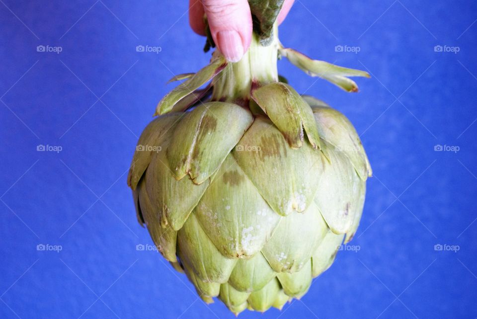 Artichoke