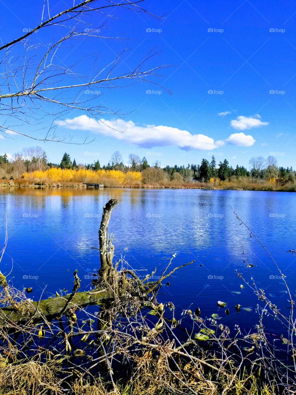 walk by the lake