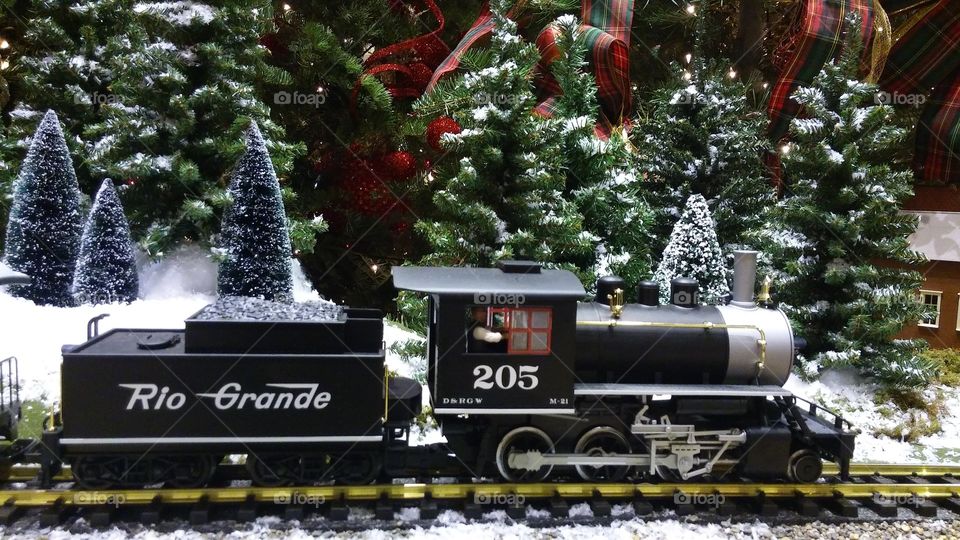 Christmas Tree Village train