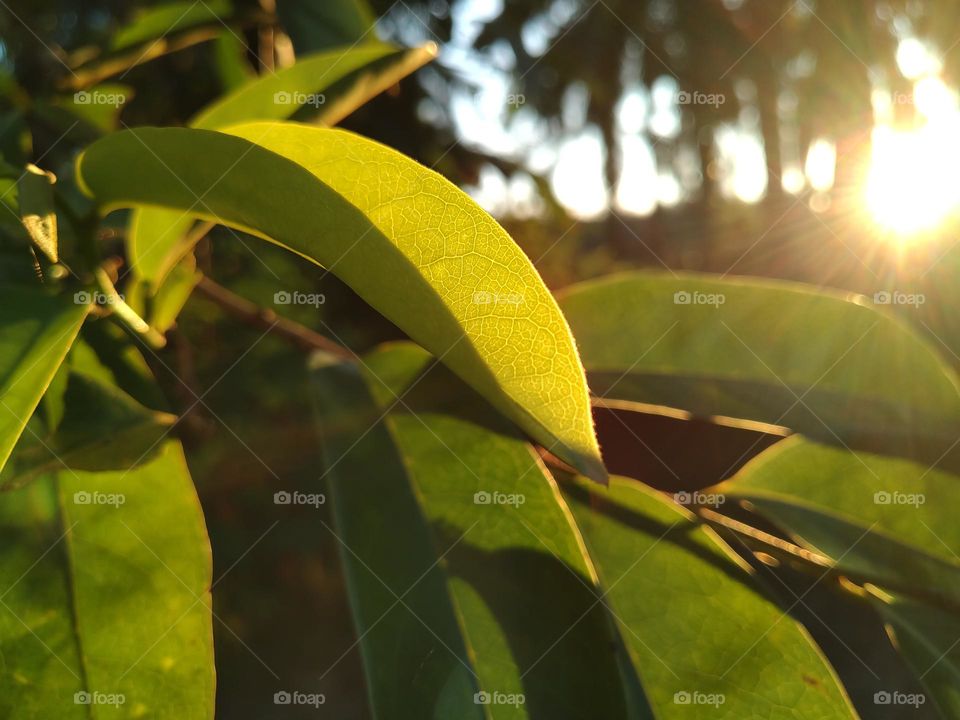 View of the sun in the afternoon about to sunset