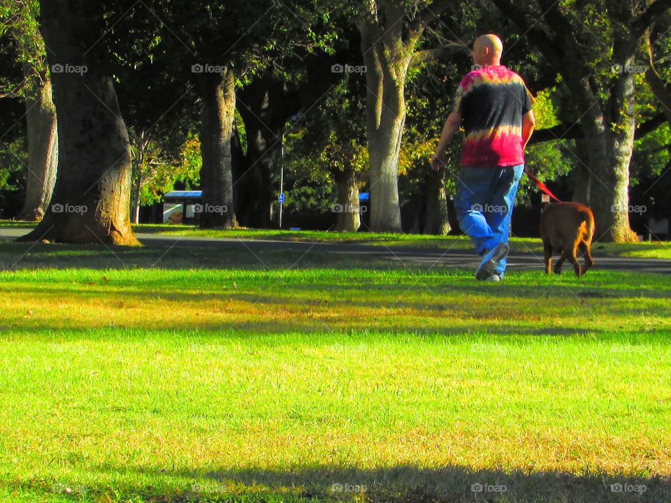 Park, Tree, Grass, Landscape, People