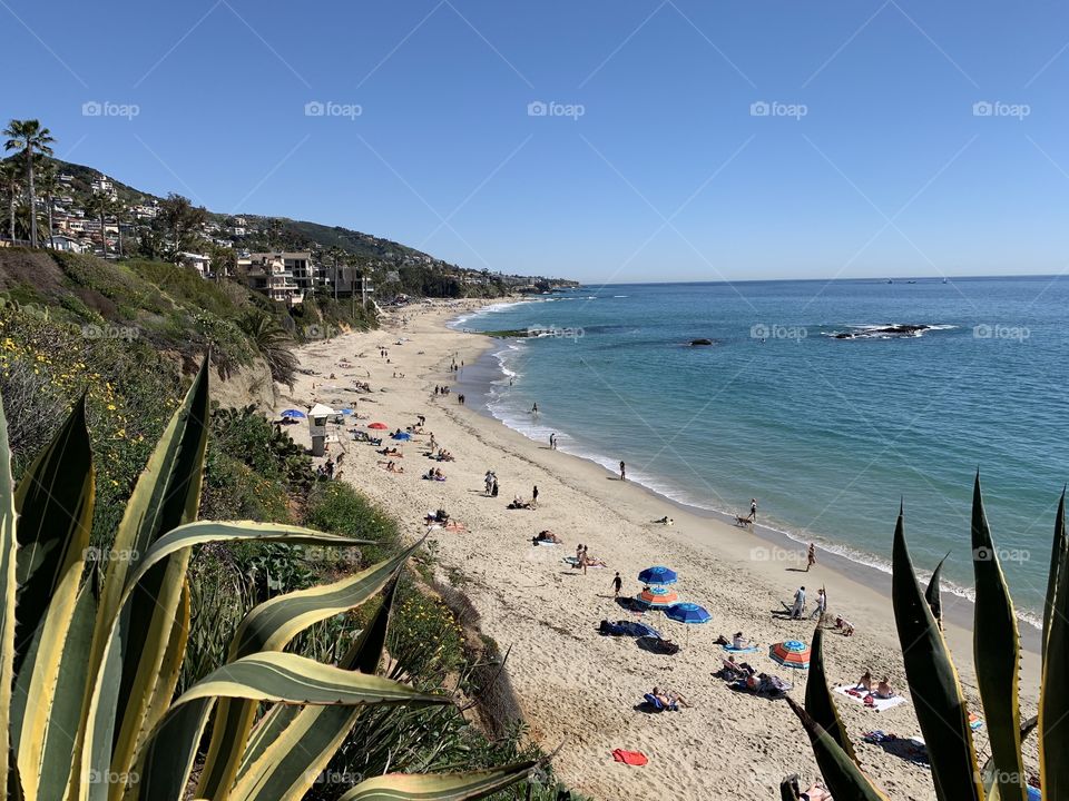 People laying out and wading in the water along the beach.