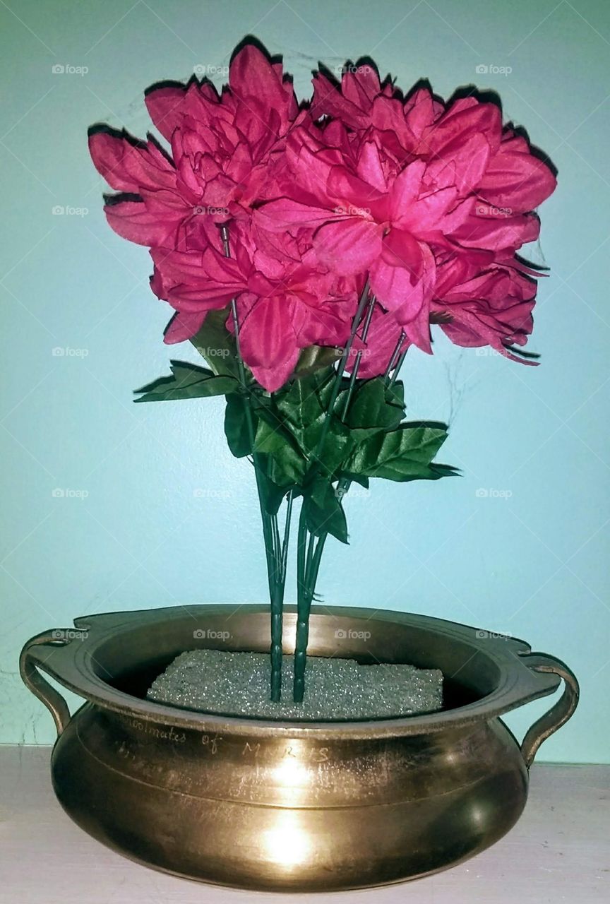 Beautiful things are always nice to see and if it's colourful too ,then it attracts the whole place ❤️❤️❤️