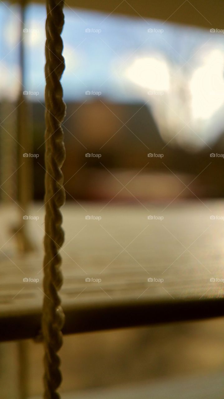 peeking through the blinds