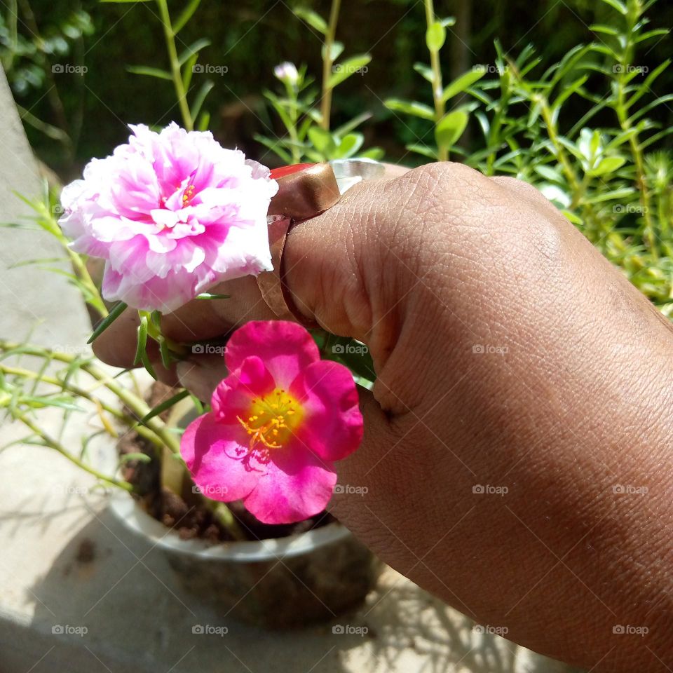 upload photo of the week