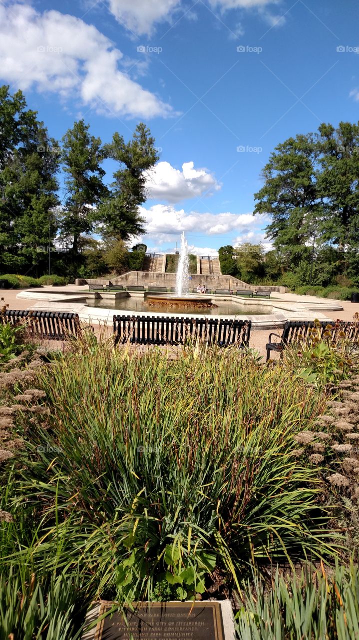 No Person, Outdoors, Grass, Tree, Nature