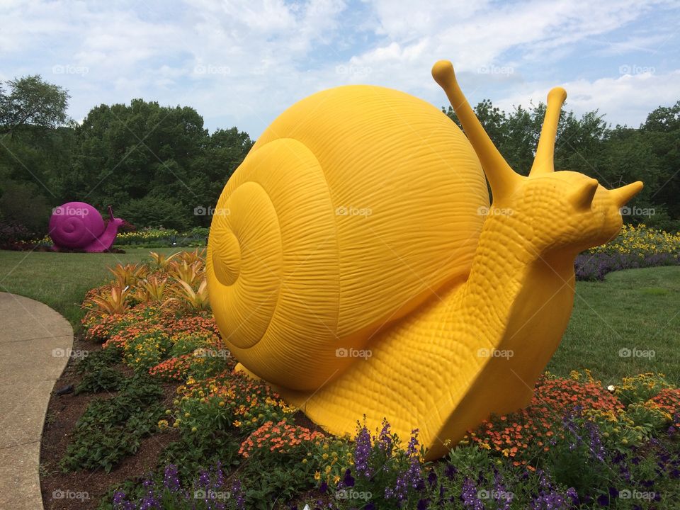 Giant yellow snail in the garden
