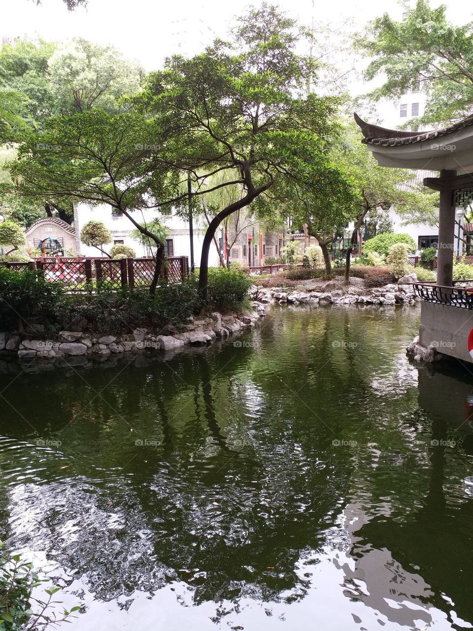 pond in a park HK