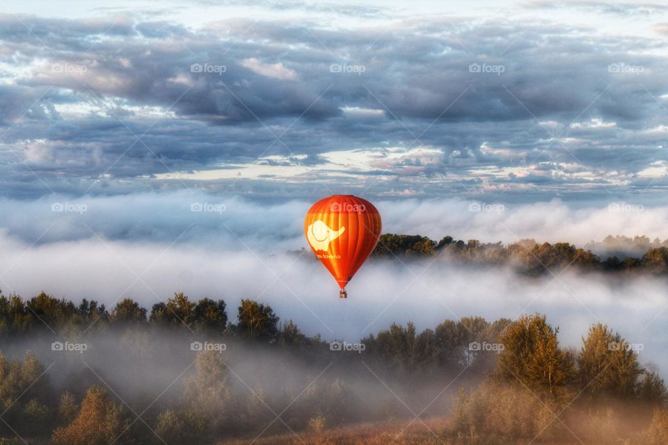 Autumn scenery of hot air balloon over foggy forest.