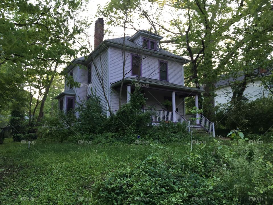 Old purple house with overgrown yard