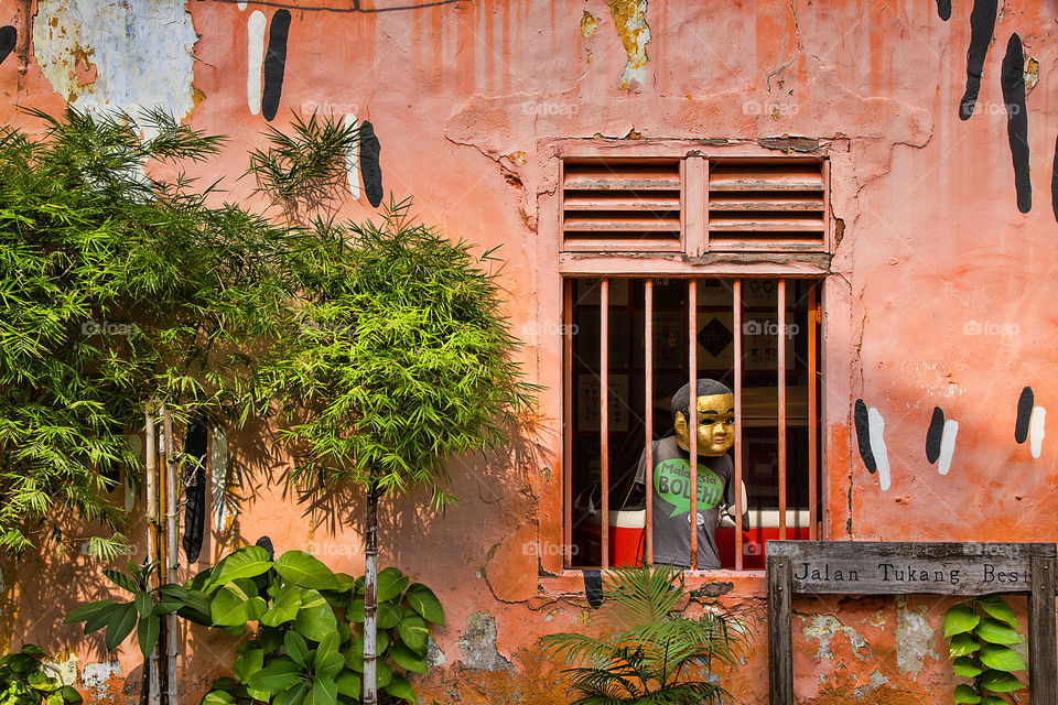 Toy inside the window