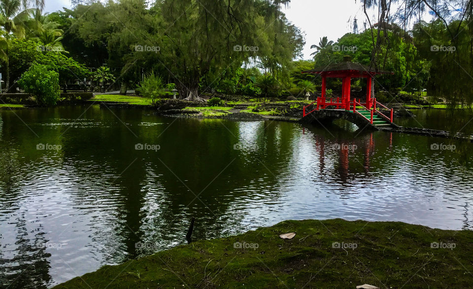 At Liliuokalani Park and Gardens