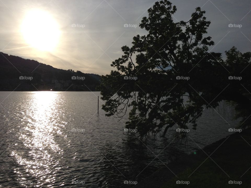 Lake, Tree, Water, Landscape, Reflection