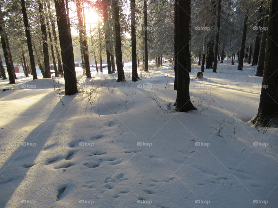 snow spring in the Urals in Russia