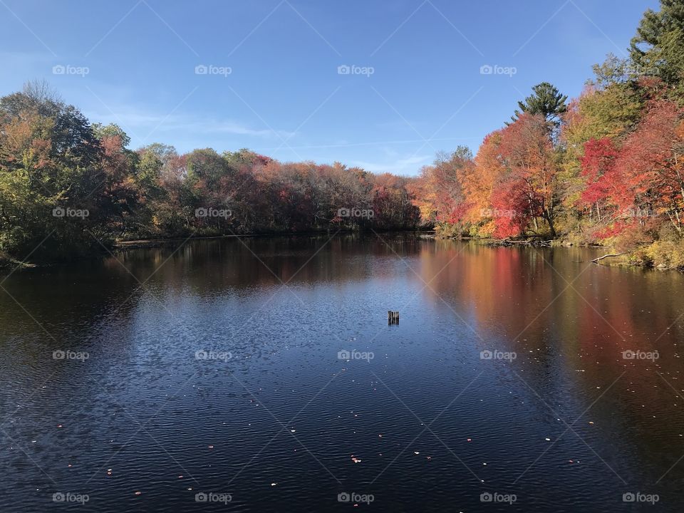 Autumn on the Lake 