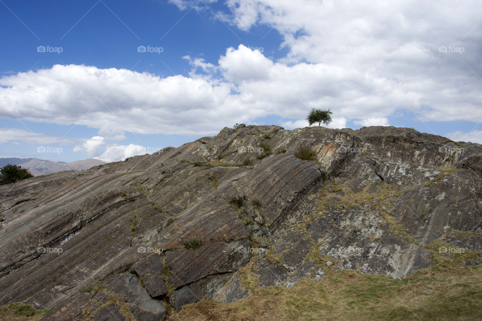 Looking towards a lone tree on top of rocky cliff!