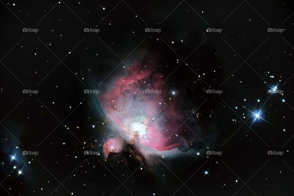 Orion Nebula