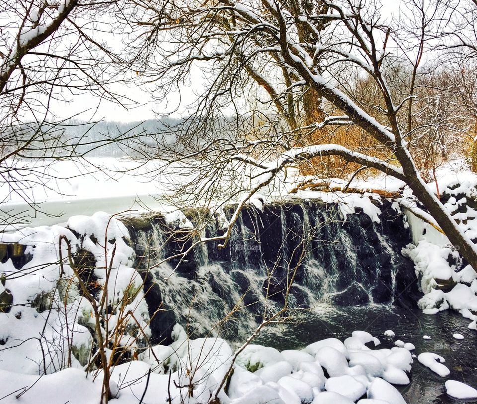 Waterfall in forest during winter