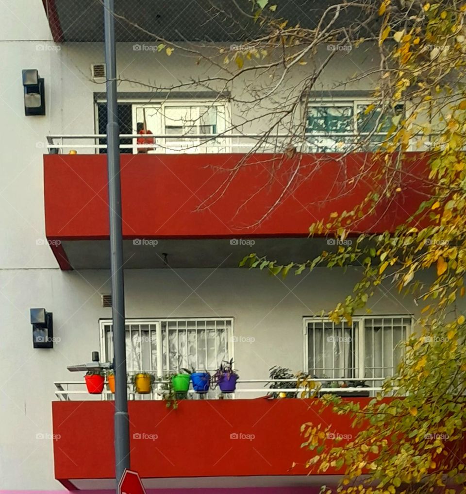 El orgullo sale al balcón 🌈