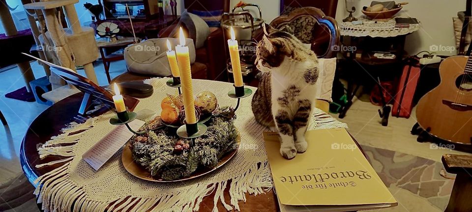 This is a Christmas display with lit candles and decorations on an antique table in a home in „Bavaria“, Germany. Not immediately visible due to the textures is a cat also sitting on the table. 2022. Hypnotic Productions