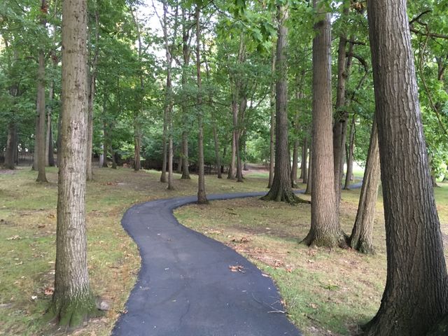 Walk in the park