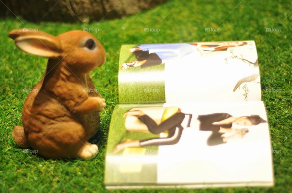 rabbit. rabbit read fashion journal
