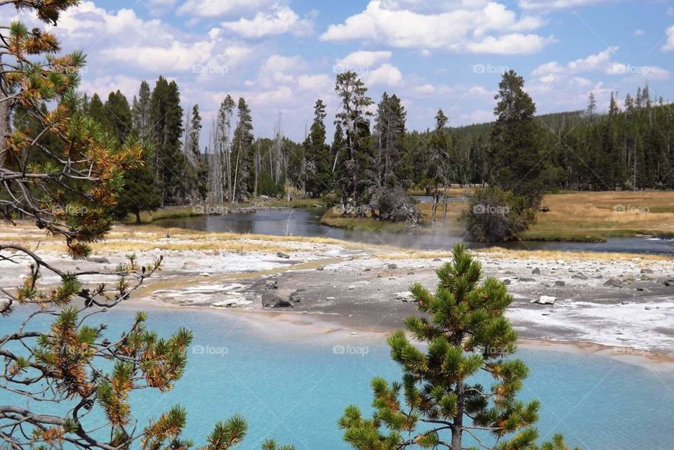 river Yellowstone oark